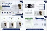 اختراع «لیوان هوشمند ویژه نابینایان» دانش‌آموزان مراغه‌ای برگزیده استانی جشنواره خوارزمی شد