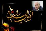 پیام تسلیت سرپرست وزارت آموزش و پرورش به مناسبت درگذشت "دکترمحمدرضا حافظی "