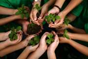 برگزاری آیین روز درختکاری در مدارس استثنایی و مراکز مشکلات ویژه یادگیری لرستان