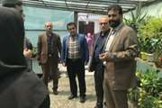 افتتاح کارگاه مهارتی هنر زندگی در خانه شهرستان تنکابن در استان مازندران